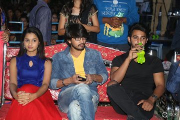 Seethamma Andaalu Raamayya Sithraalu Platinum Disc Function